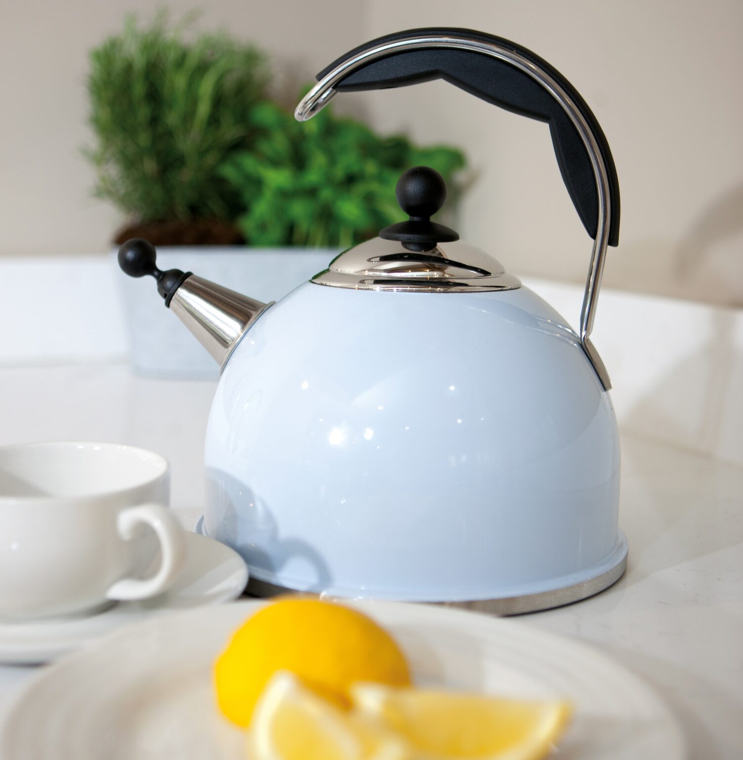 AGA Stainless Steel Whistling Kettle Duck Egg Blue