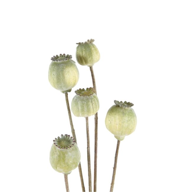 Neptune Poppy Bud Stem - Green (1) £9.17