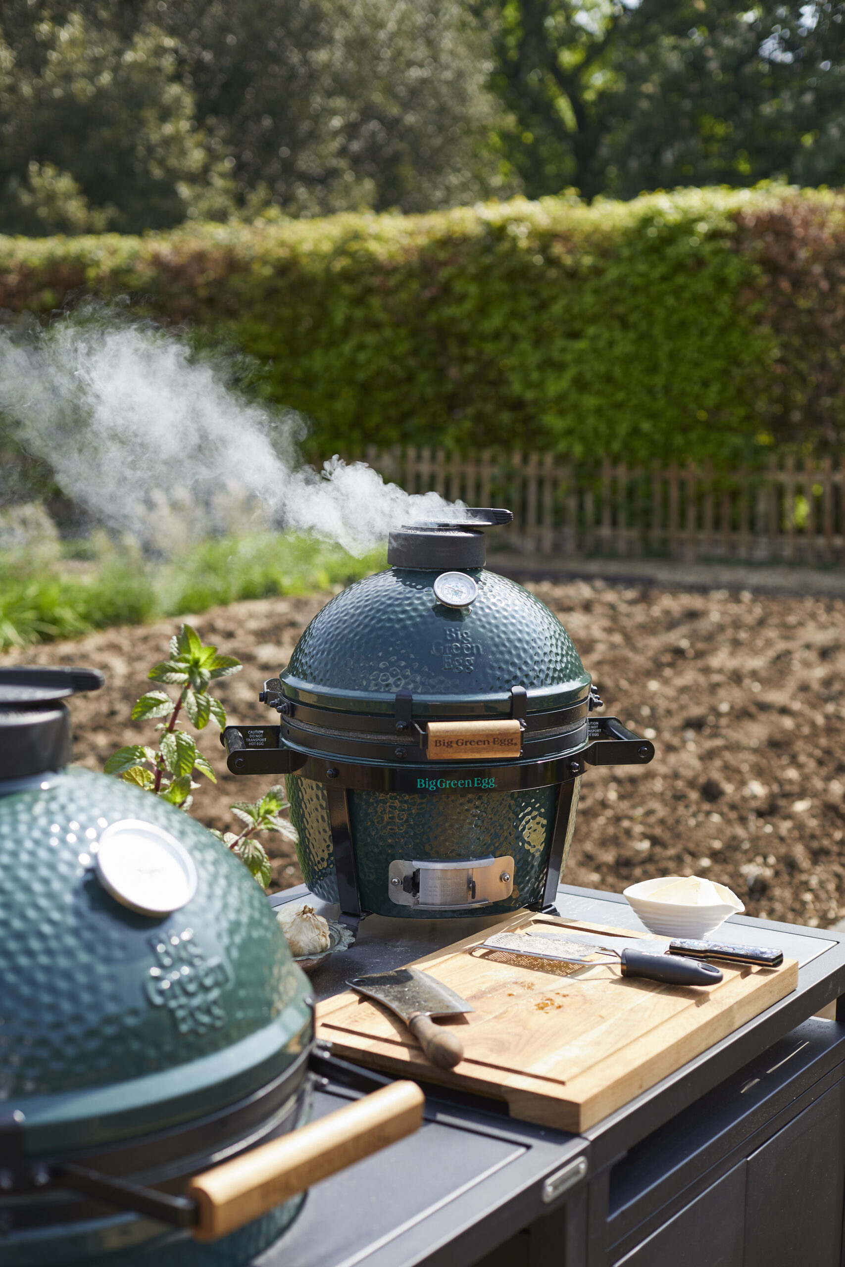 Big Green Egg