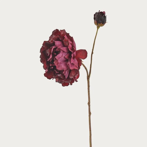 Neptune Peony Spray -Burgundy